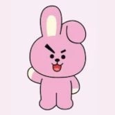 BTS Anime Cooky