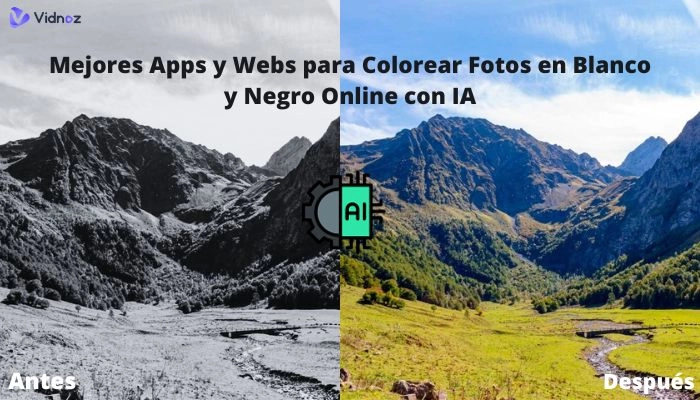 Top 12 Apps y Webs con IA para Colorear Fotos en Blanco y Negro Online