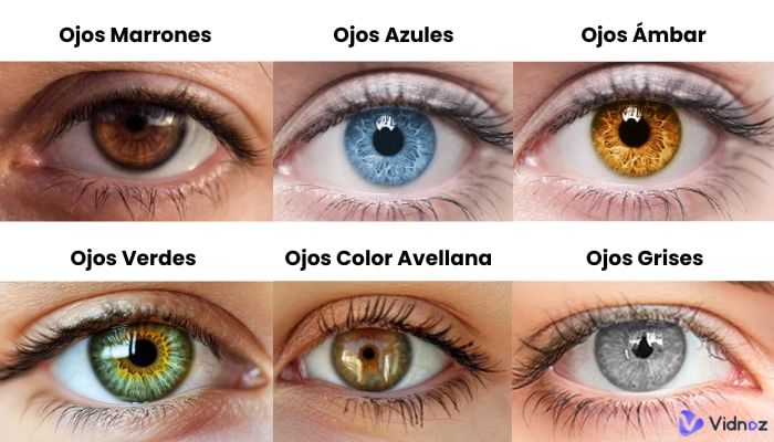 colores de ojos y sus nombres