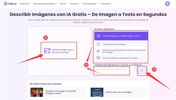 como describir imágenes con vidnoz