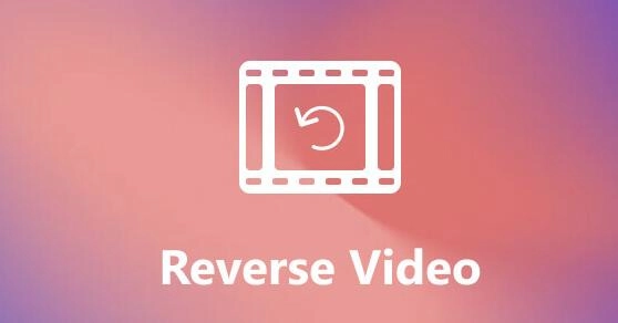 como-utilizar-un-reversor-de-video