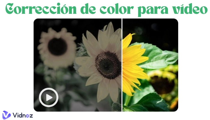 correccion de color para video