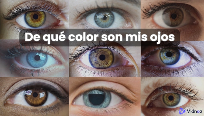 De Qué Color Son Mis Ojos Tests Gratis y En Línea
