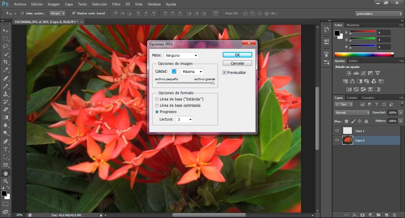 despixelar-imagenes-con-ia-en-photoshop-paso-6