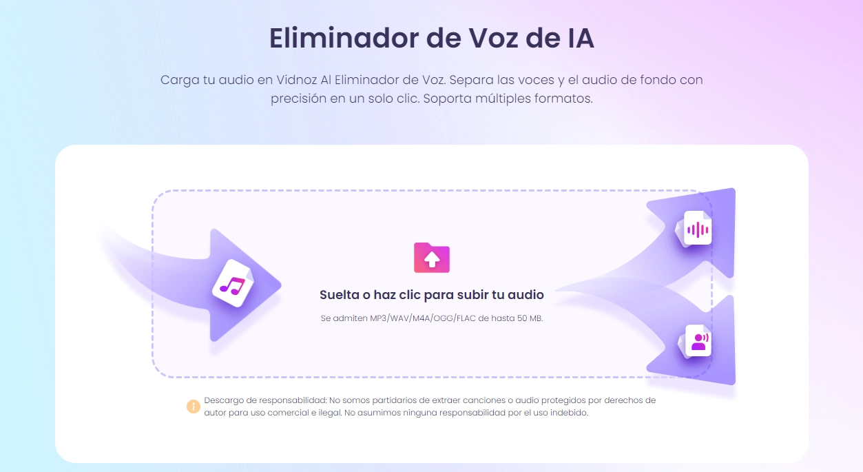 Eliminador de Voz de Vidnoz AI