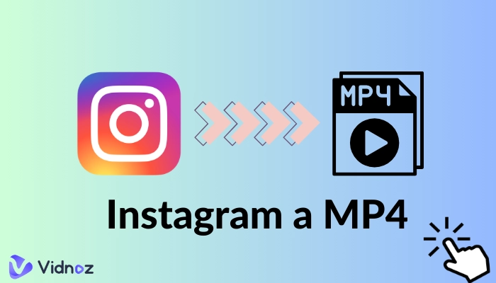 Descargar Instagram a MP4: Los 5 mejores convertidores de Instagram a MP4 [2024]