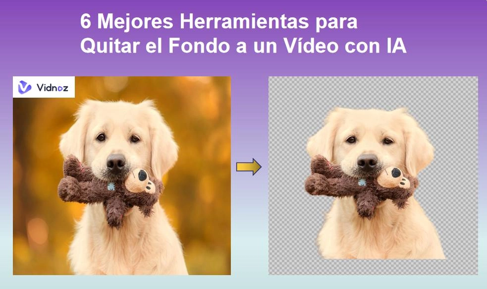 6 Mejores Herramientas para Quitar el Fondo a un Vídeo con IA