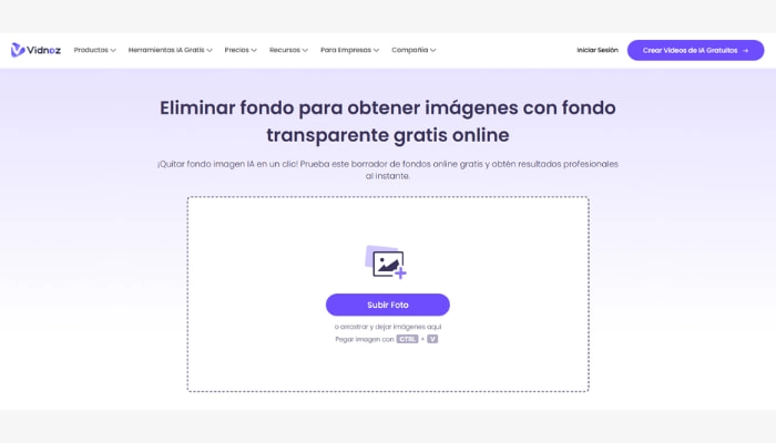 usa el eliminador de fondo de Vidnoz