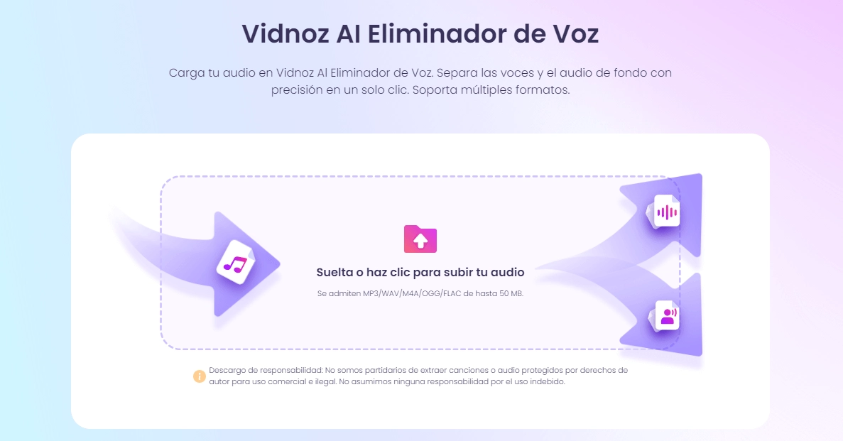 vidnoz ai eliminador de voz