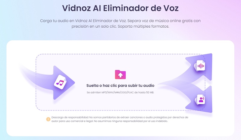 Vidnoz AI Eliminador de Voz