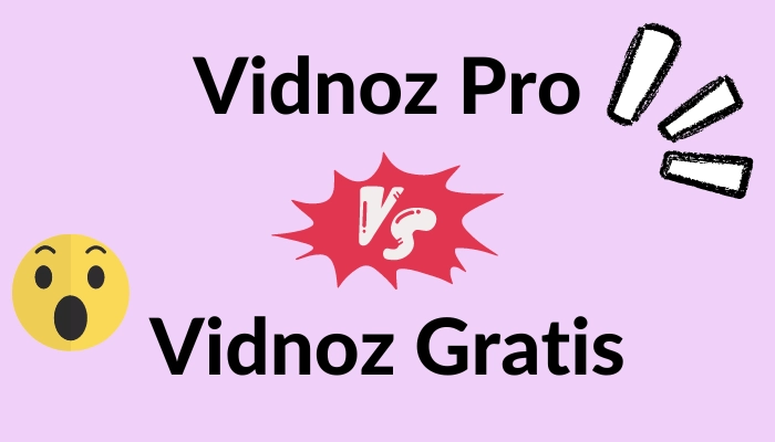 Vidnoz Gratis vs. Vidnoz Pro: ¿Cuál es la mejor opción para ti?