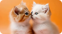 Video de Beso IA con Mascotas